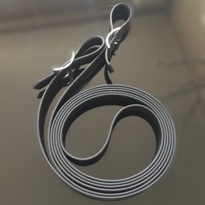 Biothane reins black